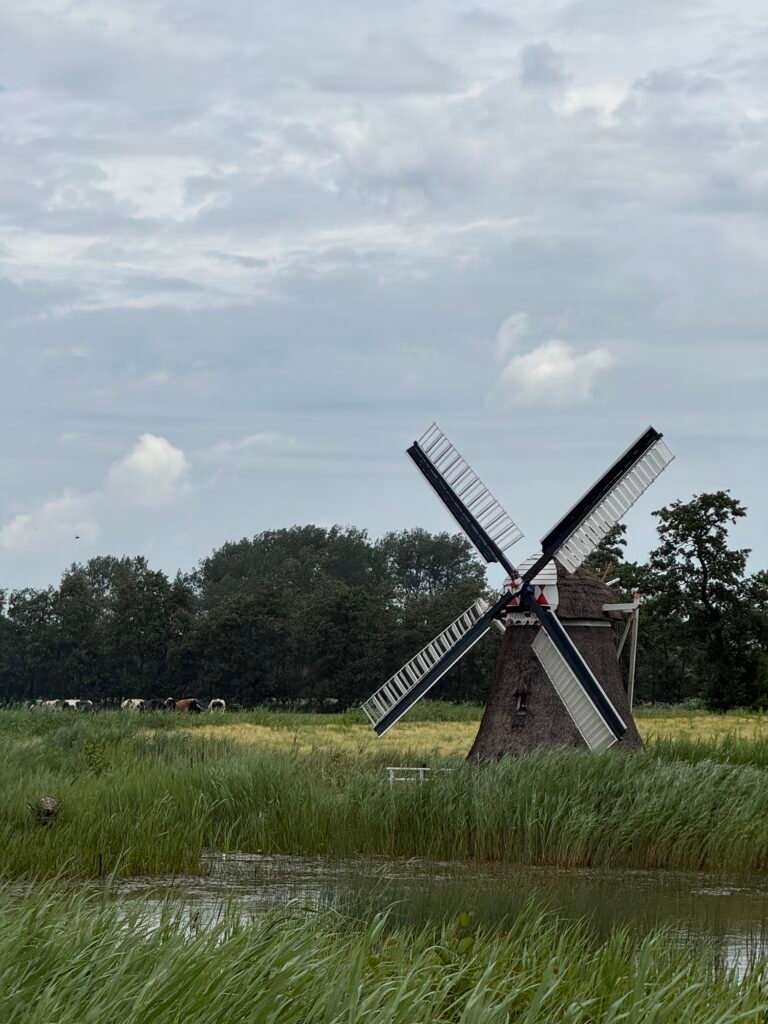 Img 2257 768x1024